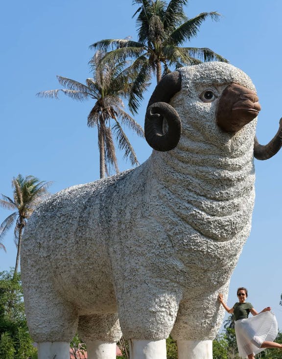 Pattaya Sheep Farm